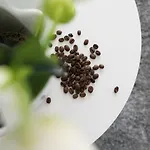 Apartment Chilliapartamenty - Blizej Morza - Espresso