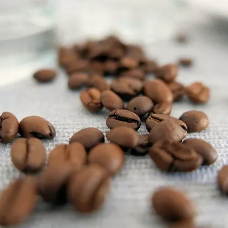 Chilliapartamenty - Blizej Morza - Espresso Apartman