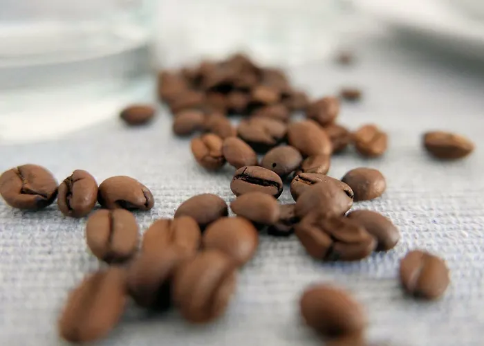 Chilliapartamenty - Blizej Morza - Espresso Appartement